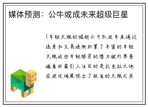 媒体预测：公牛或成未来超级巨星